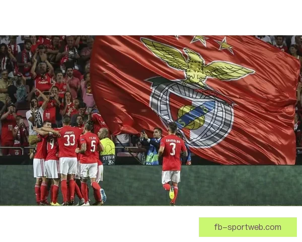 世界杯竞猜首存优惠火热开启新手专享高额彩金助力畅玩赛事竞猜 世界杯竞猜首存优惠火热开启新手专享高额彩金助力畅玩赛事竞猜